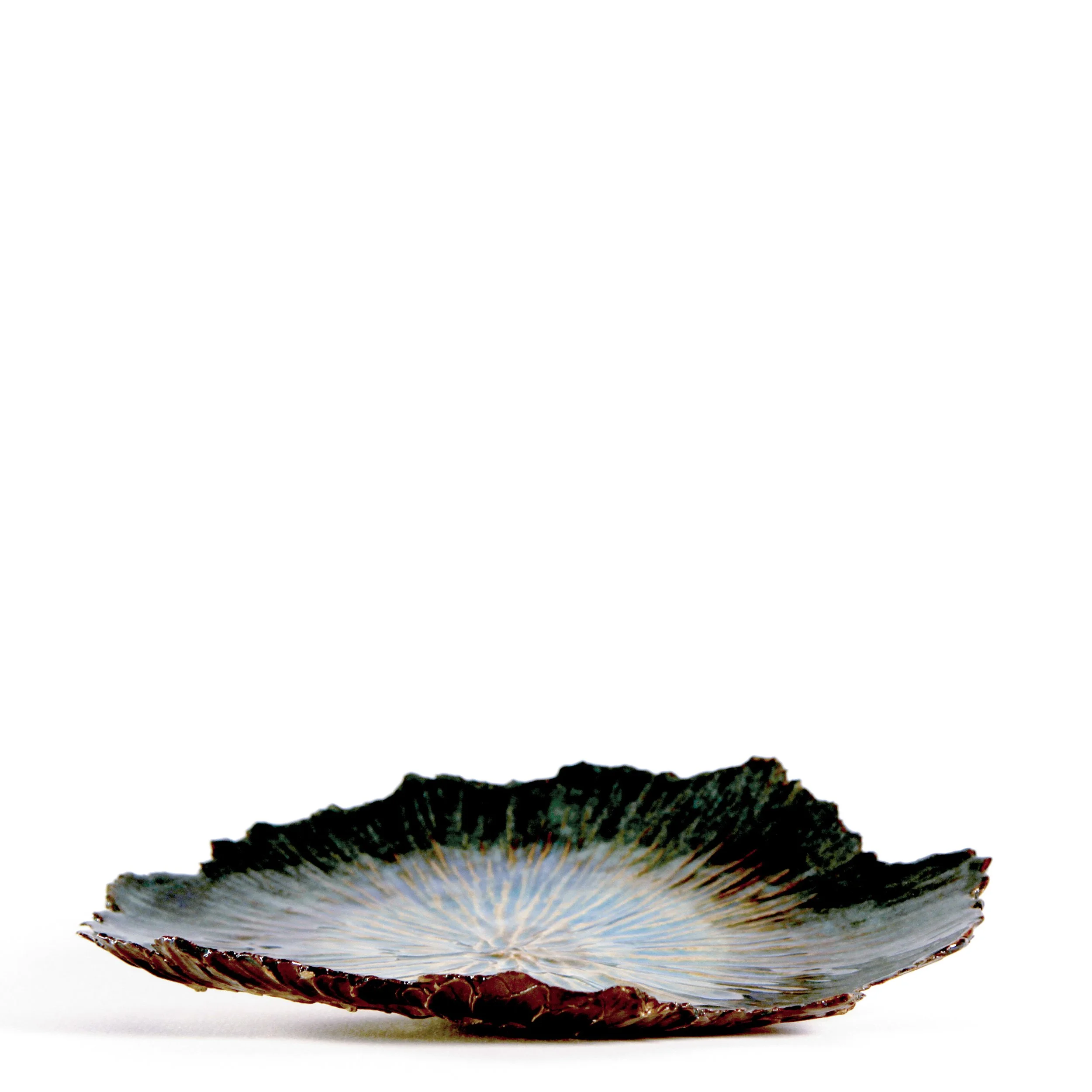 Series 19 | Sea Lettuce 5 t.JPG