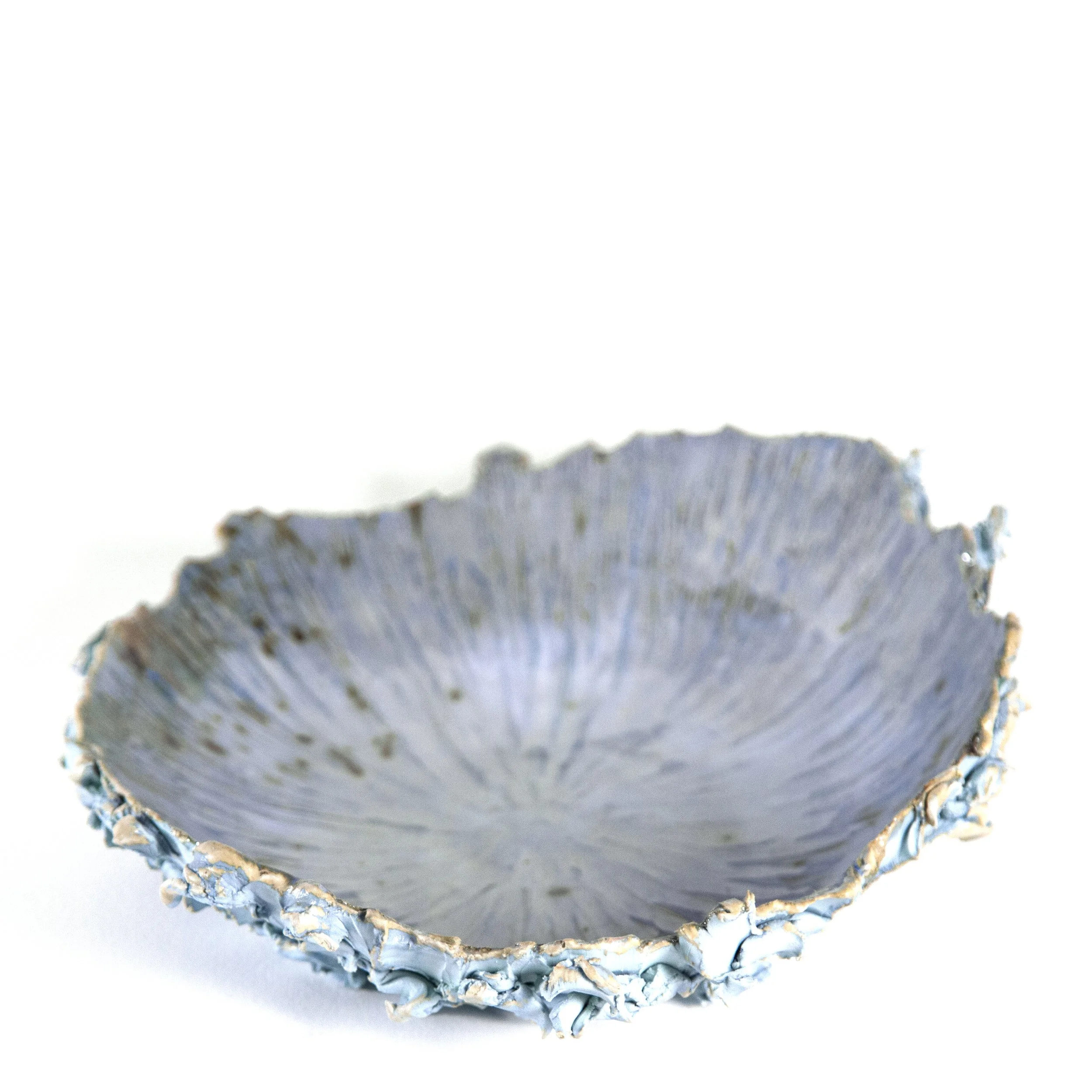 Series 19 | Sea Blossom 13P t.jpg