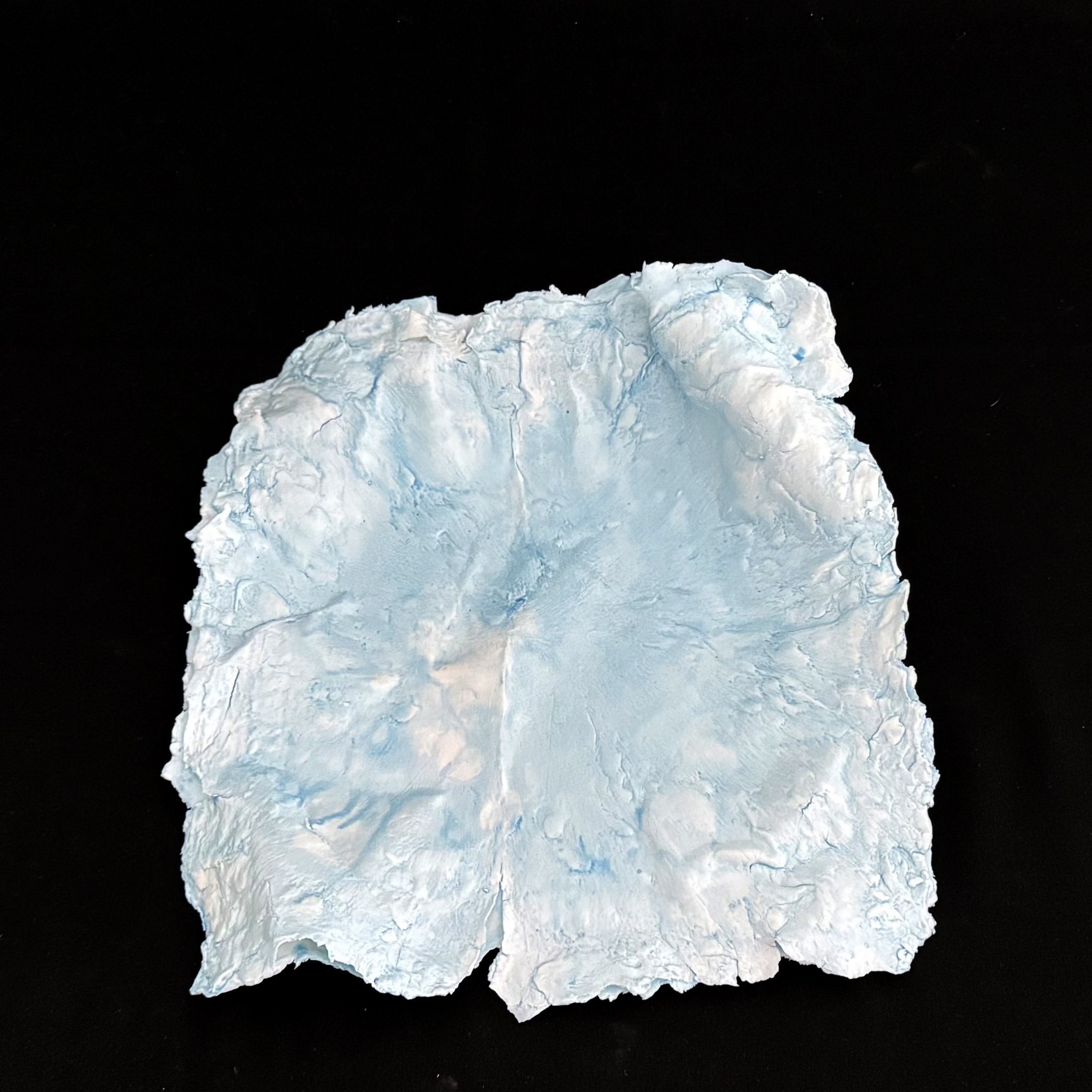 Series 40.1 | Agua Papel Plate t.jpeg
