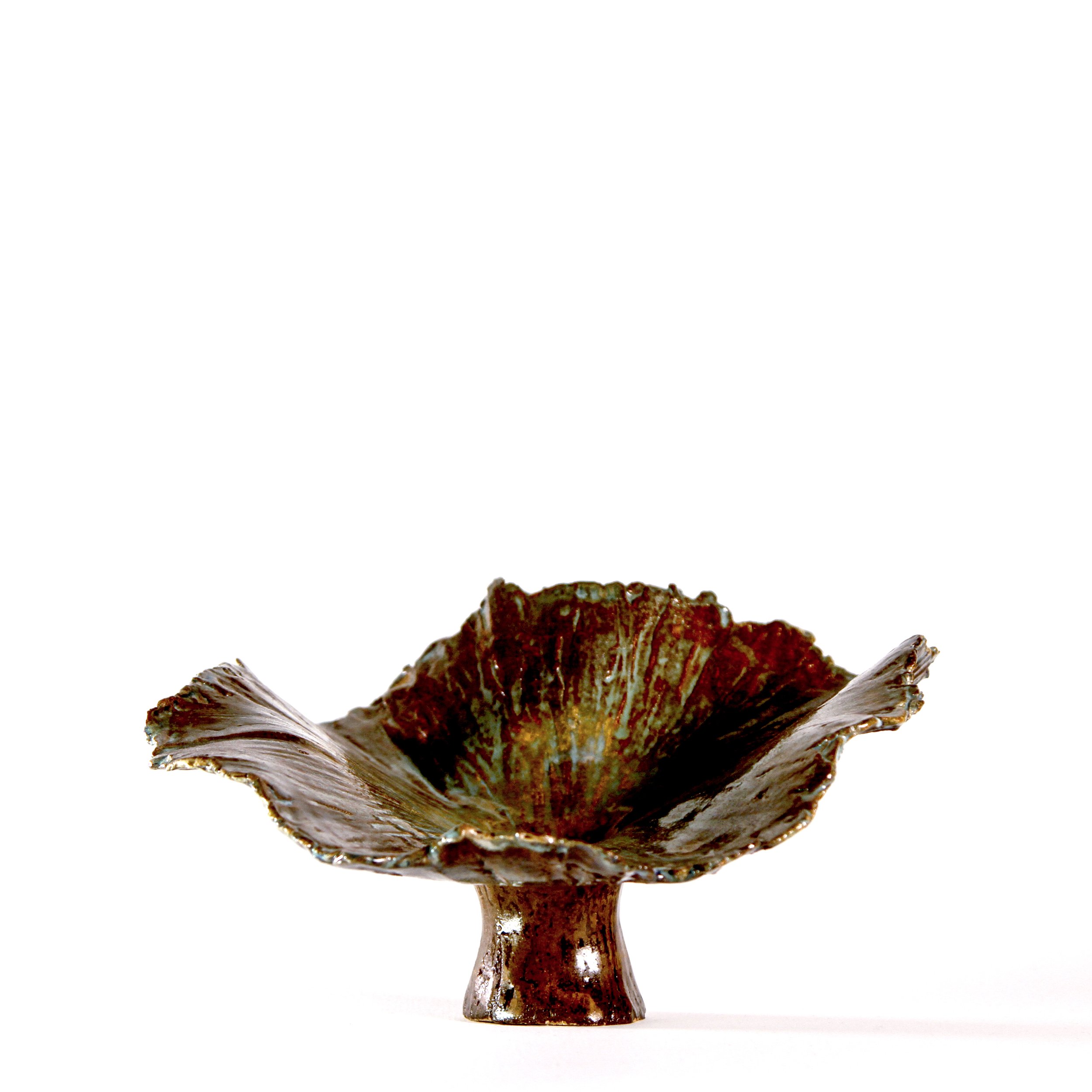 Series 23 | BilobaBig Bilovidaloba.JPG