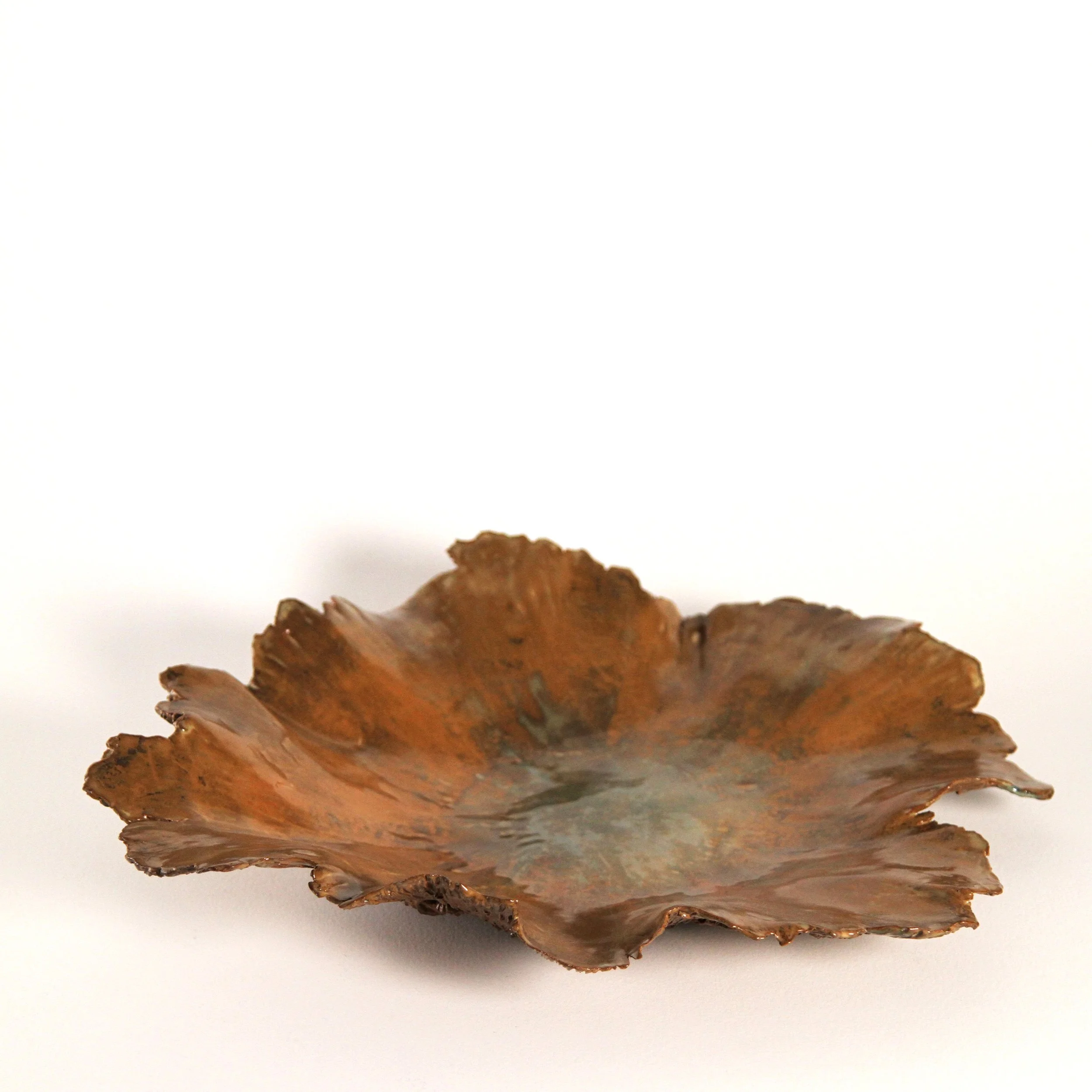 Series 47 | Lapas-1 t Oyster.JPG