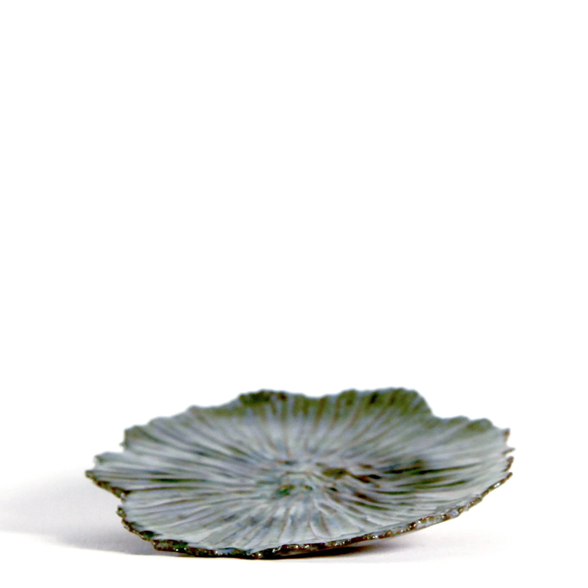 Series 19 | Sea Lettuce 7 t.JPG