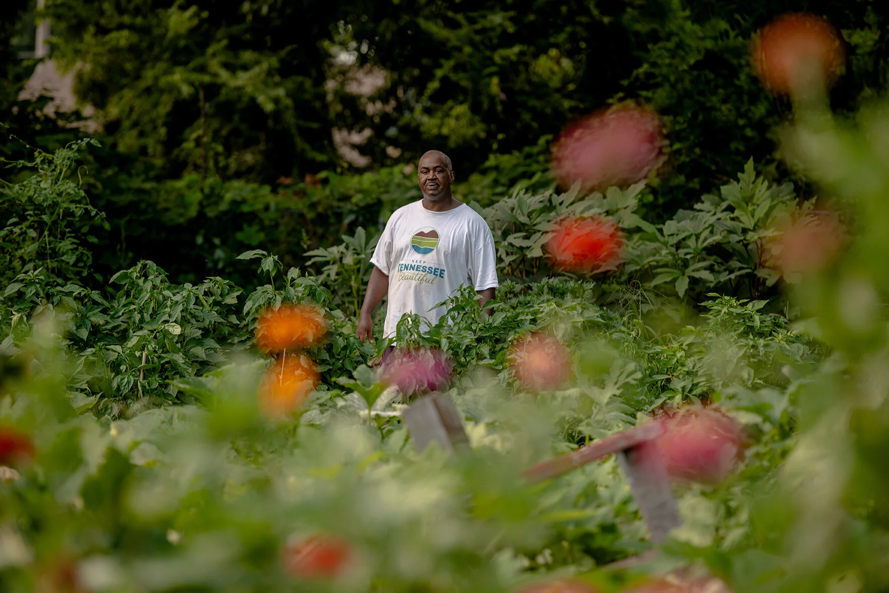A Garden Grows in North Memphis