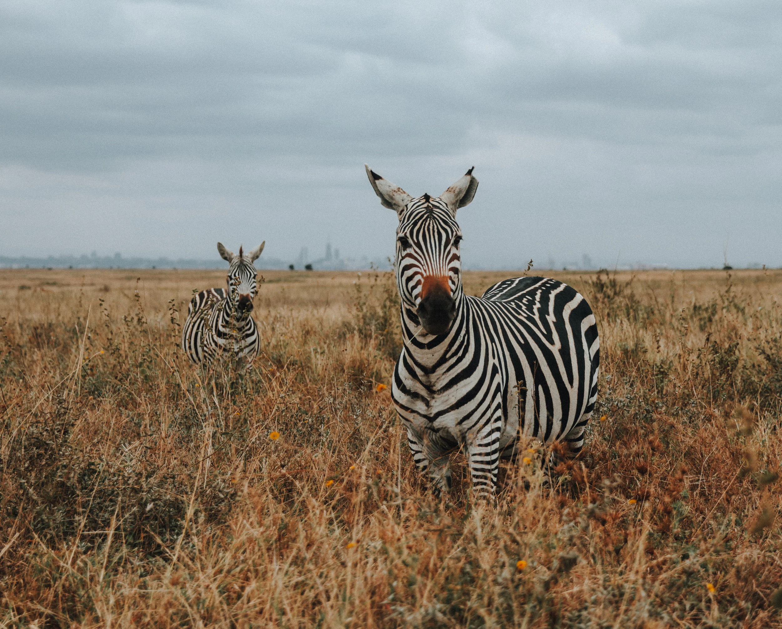 Kenya-54.jpg