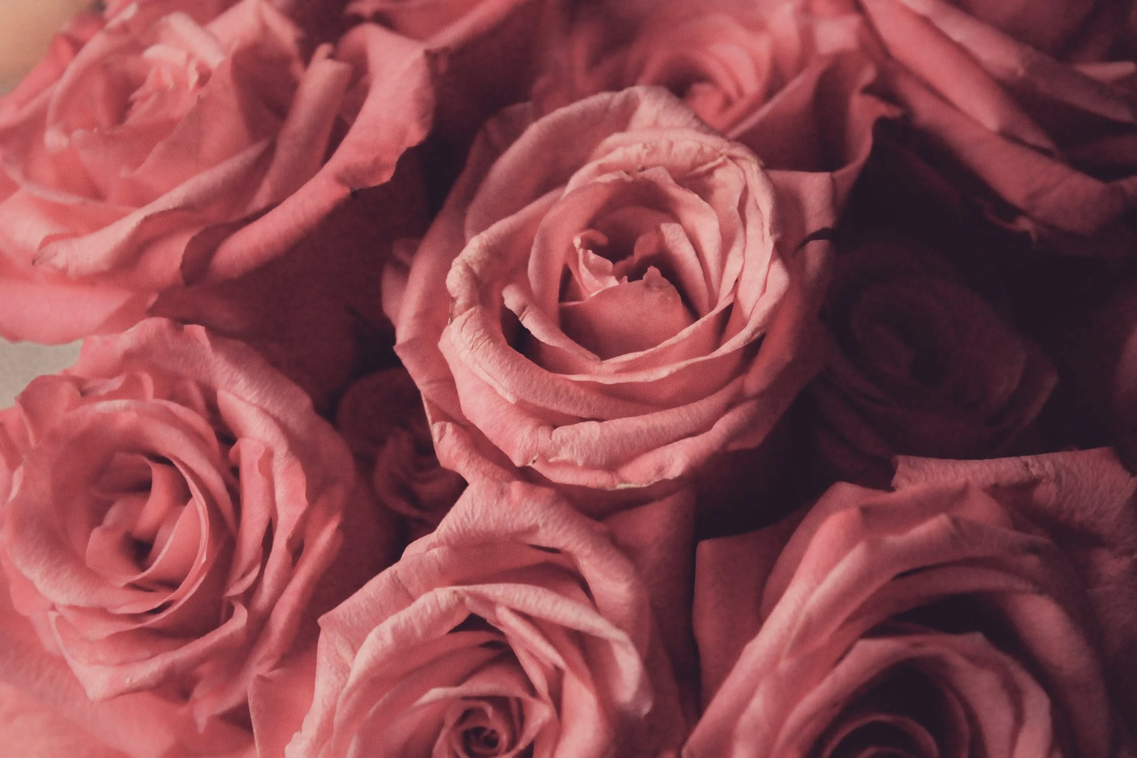 pexels-photo-1447367.jpeg