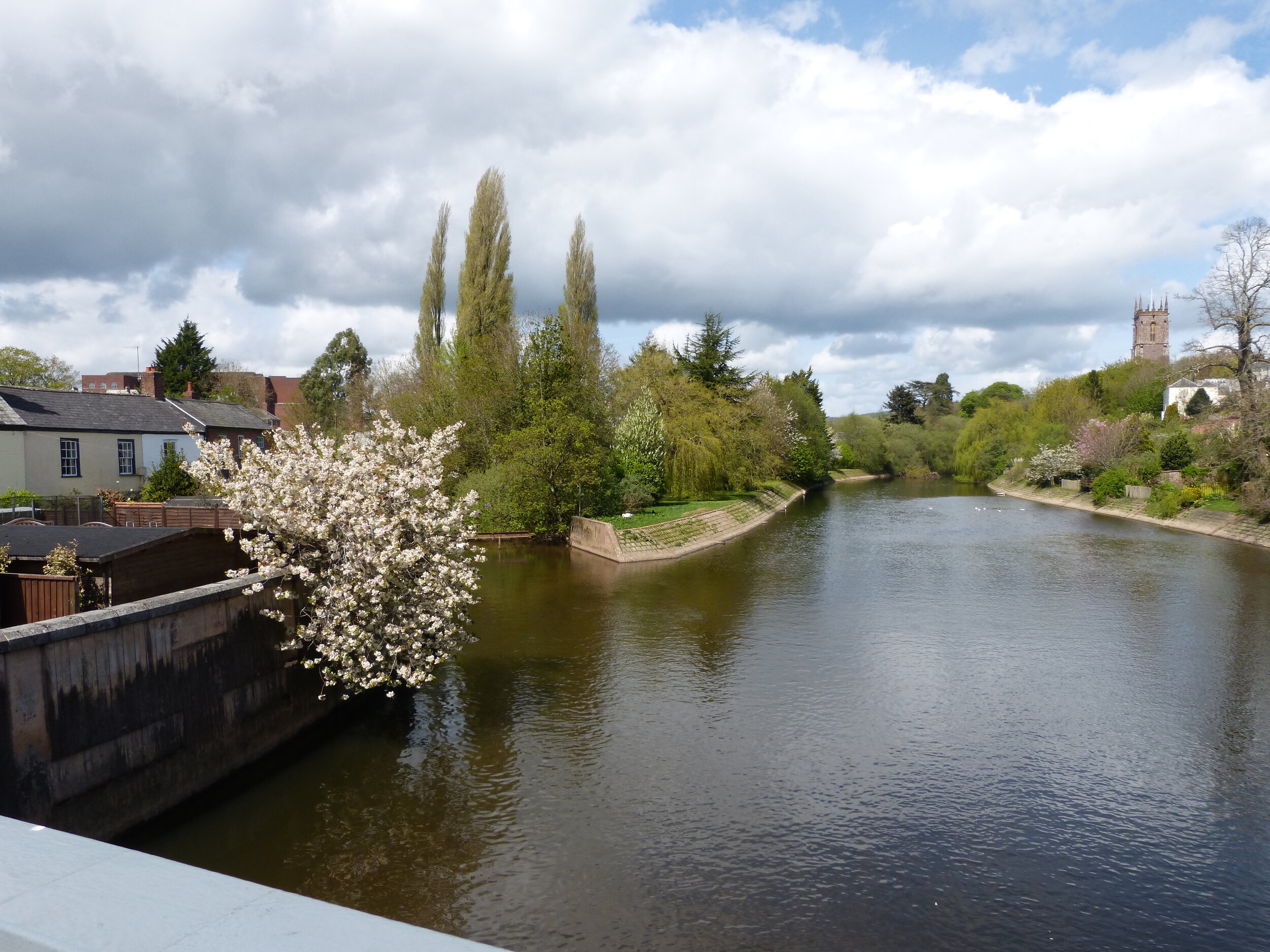 View of River Exe