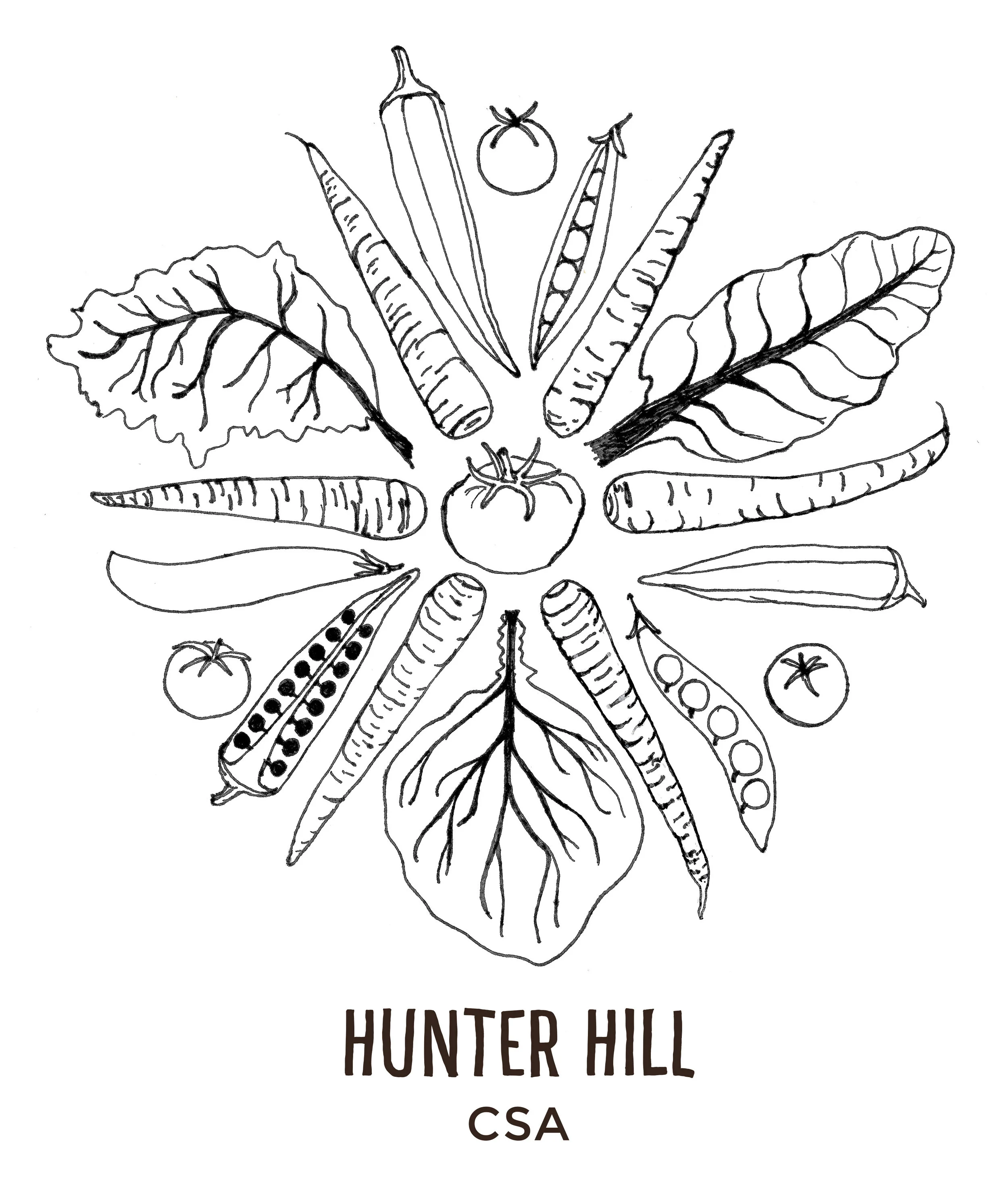 NW hunter hill logo.jpg