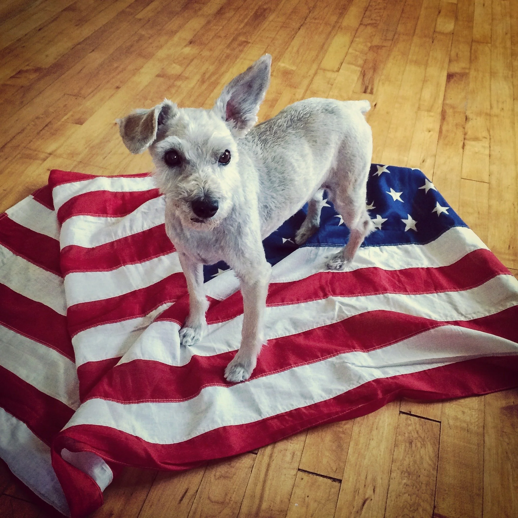 Happy 4th!
