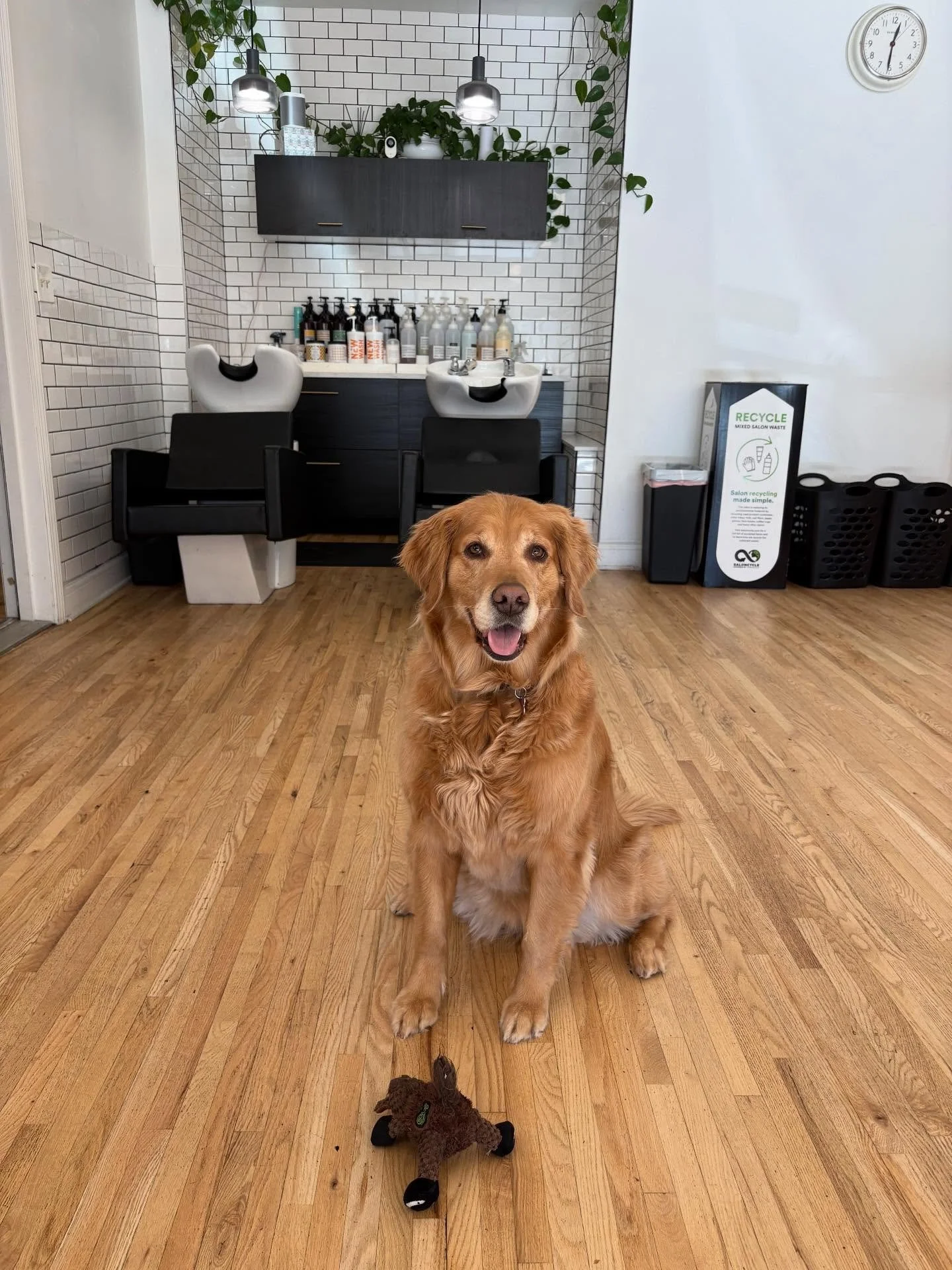 Sending love to our community 🩷 Kiss your dog for us