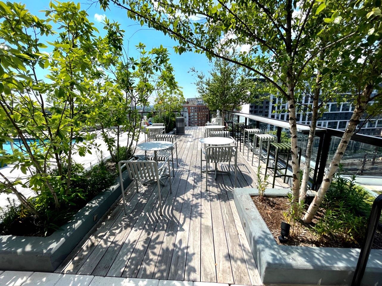 Nothing better than a cool shady spot with a nice view 🤩

#dc #dcamenity #dcapartments #greenroof #greenspace #dcviews #ecoroof #dcgreenroof #egr #elevateyourroof #unionmarket