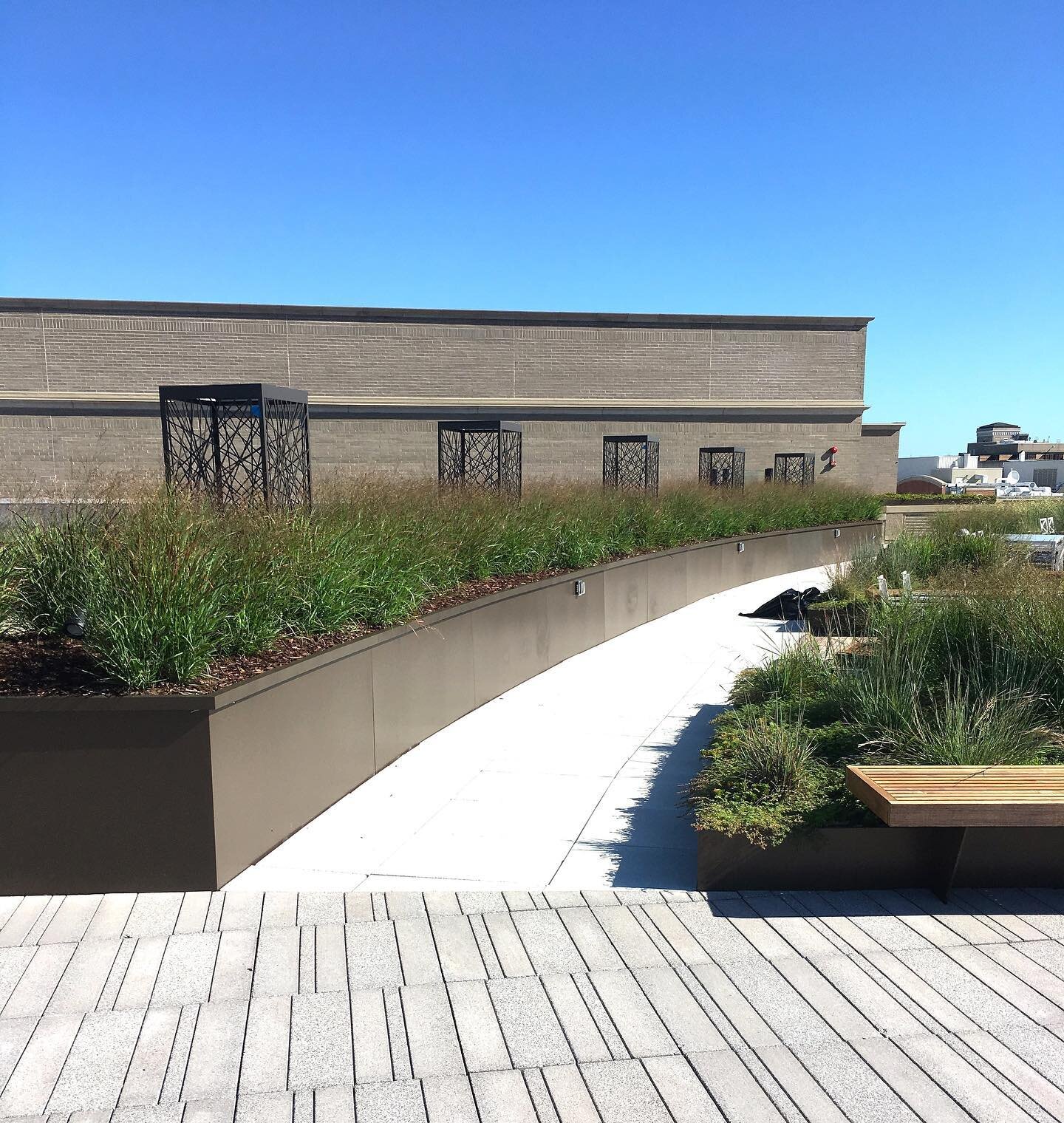 &ldquo;Some people look for a beautiful place, others make a place beautiful&rdquo;
-Hazrat Inavat Khan

#greenroof #amenityterrace #greenbuilding #greenconstruction #plants #amenityroof #greendesign #greenroofs #elevateyourspace #commercialconstruct