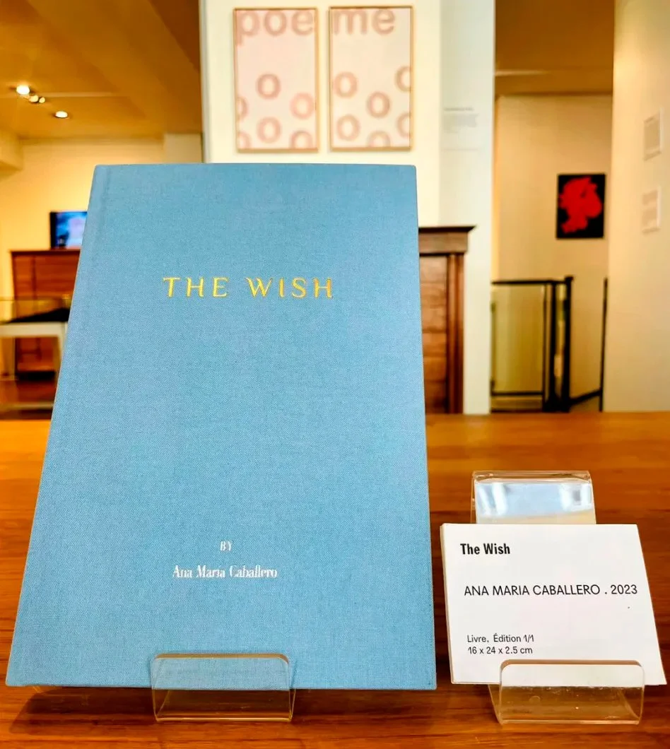 The-Wish-phisycal-book-_1_.jpg