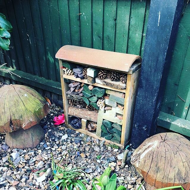 Making the most of the sun cleaning out the shed... and I found everything needed to make a bug hotel @bbccountryfile