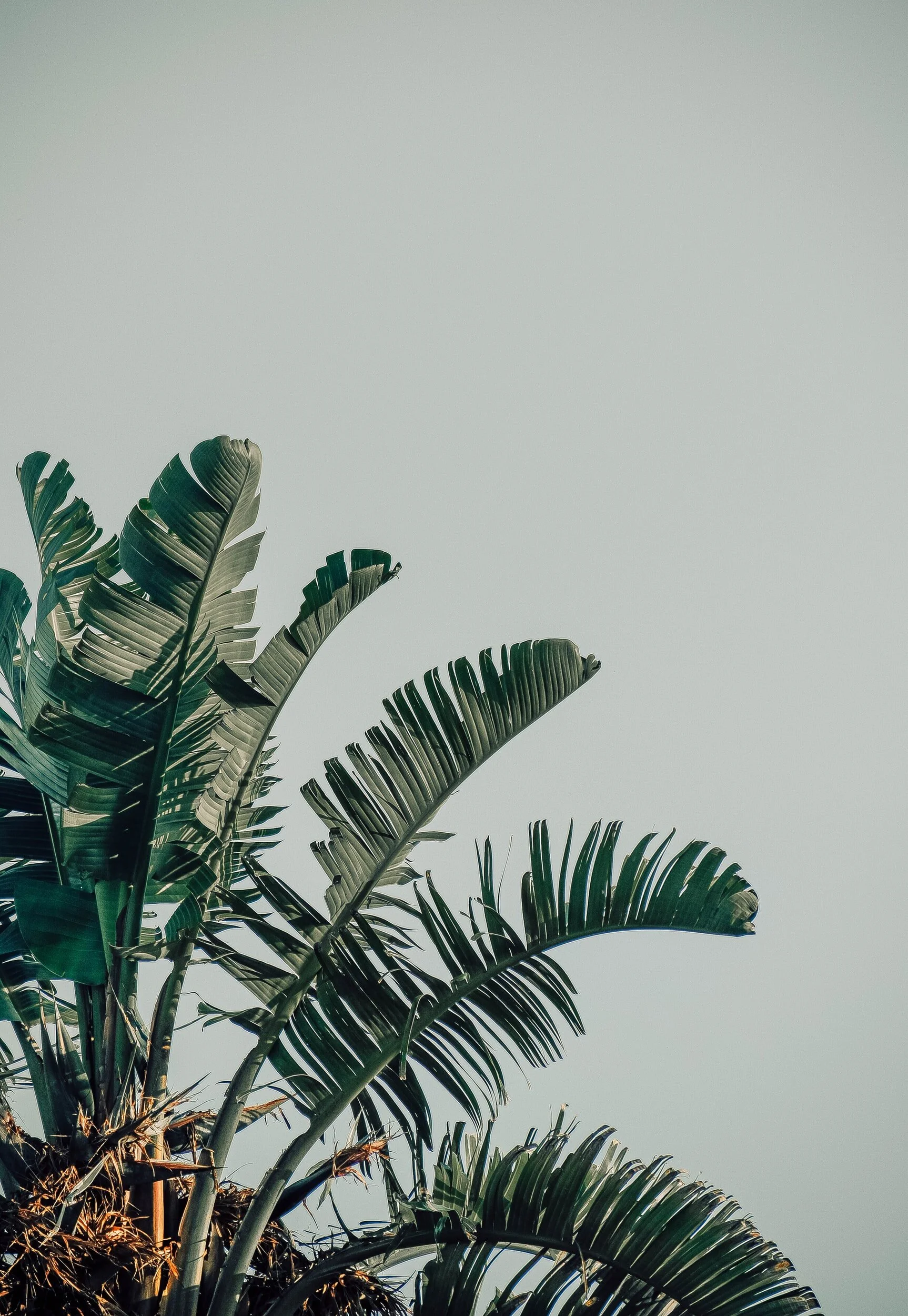 One House for Adolescents of Divorce/Separation - Tuesdays - Online