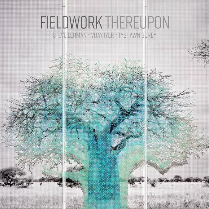 Bandcamp: FIELDWORK:&nbsp;Thereupon