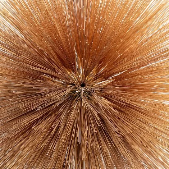 PATRICIA BRENNAN:&nbsp;Of the Near and Far 