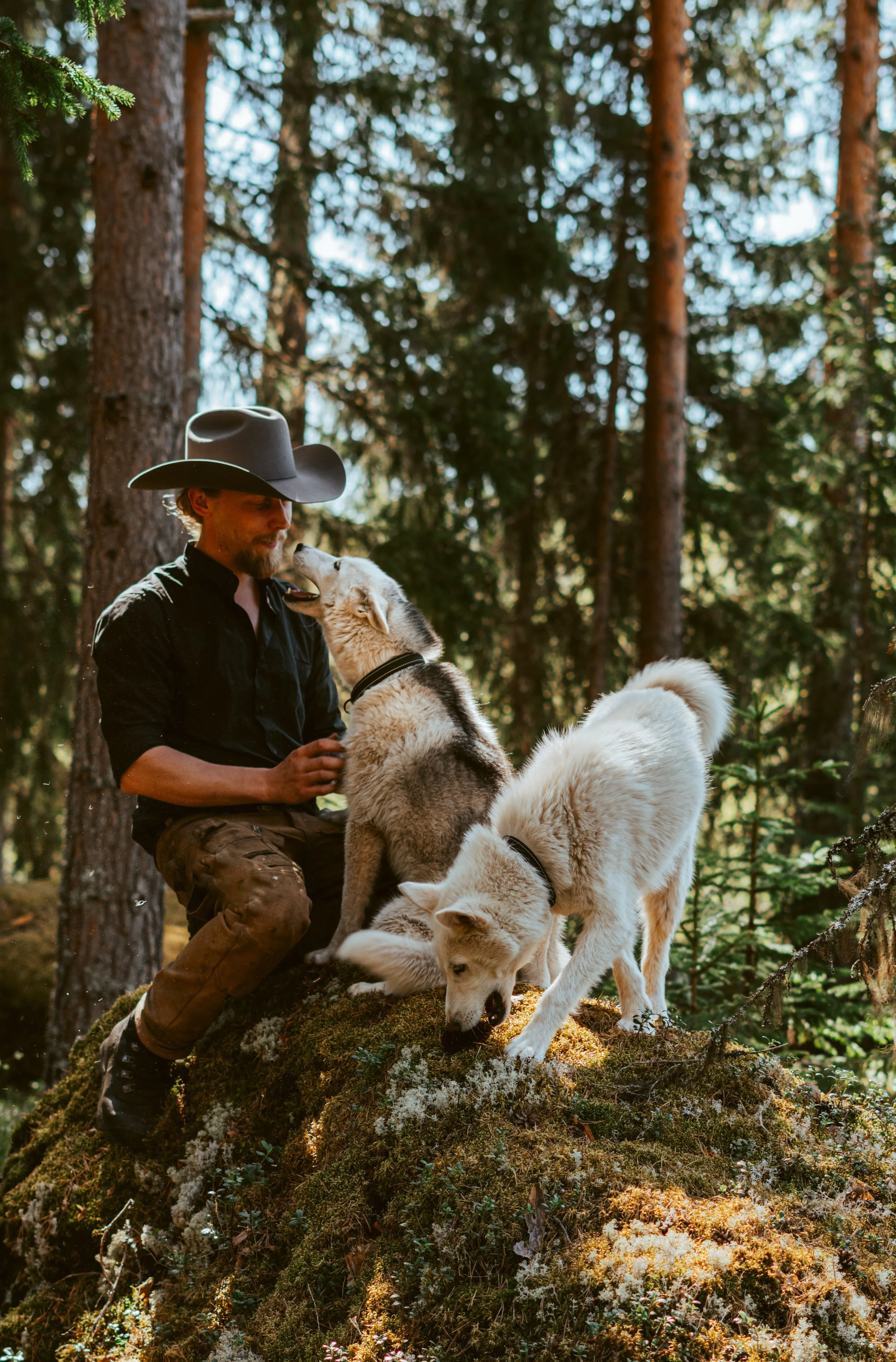Why Are Our Huskies So Friendly?