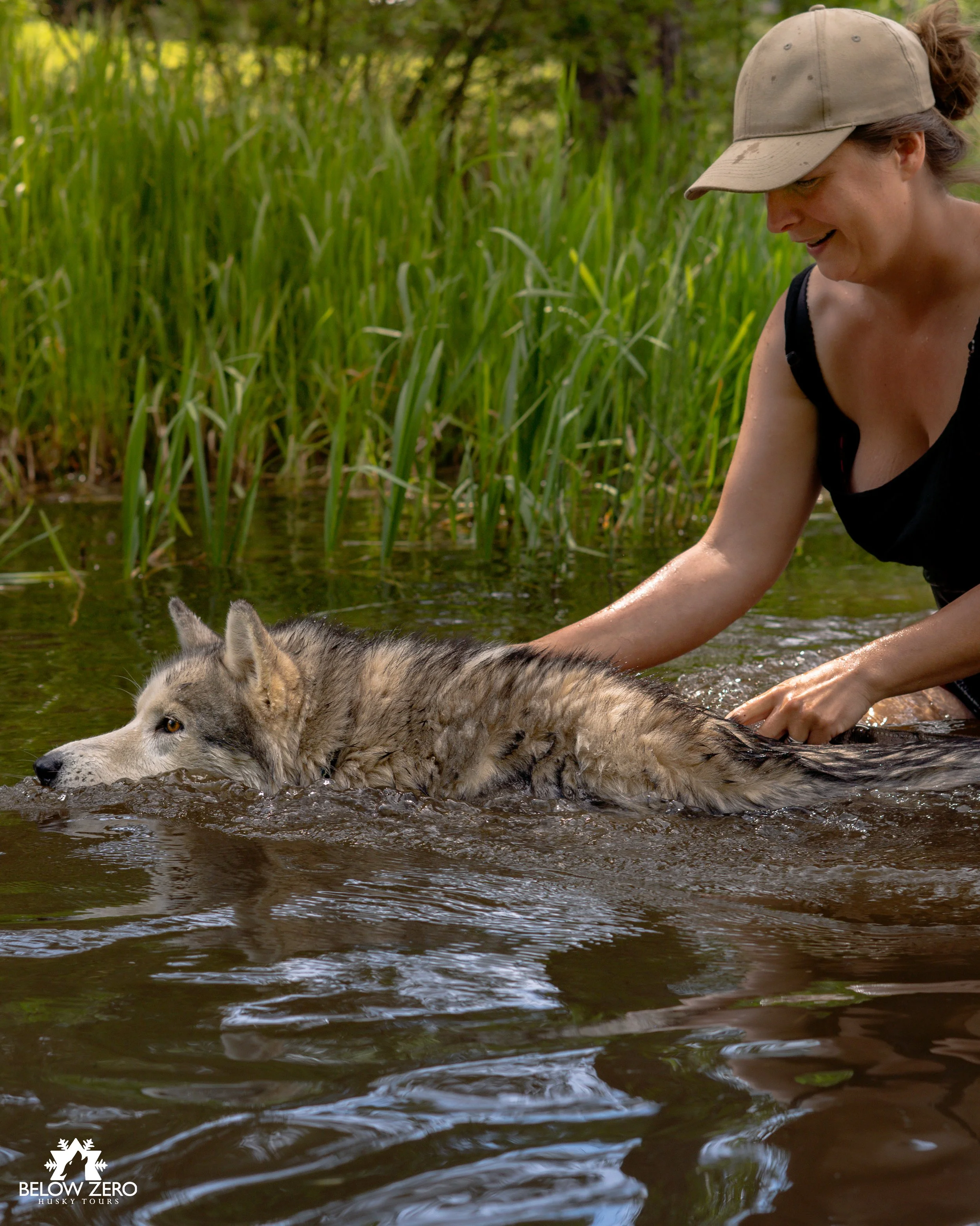 How We Keep Our Siberian Huskies Cool During Summer