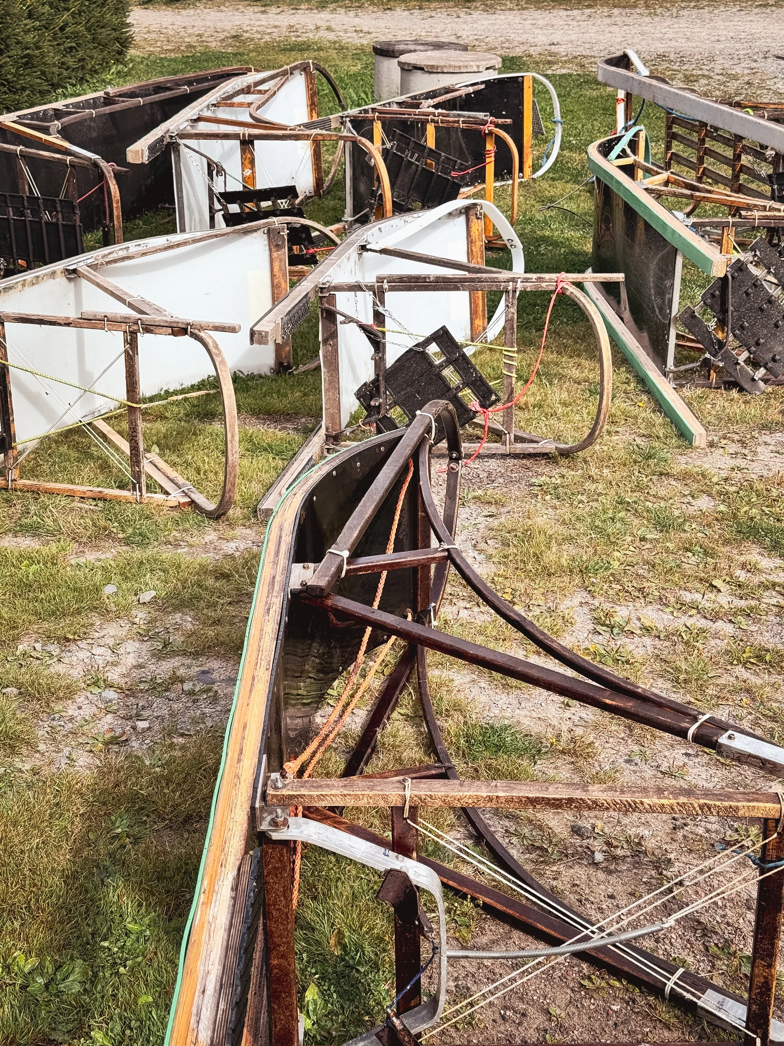 From Forest to Trail – Why We Still Choose Wooden Dog Sleds