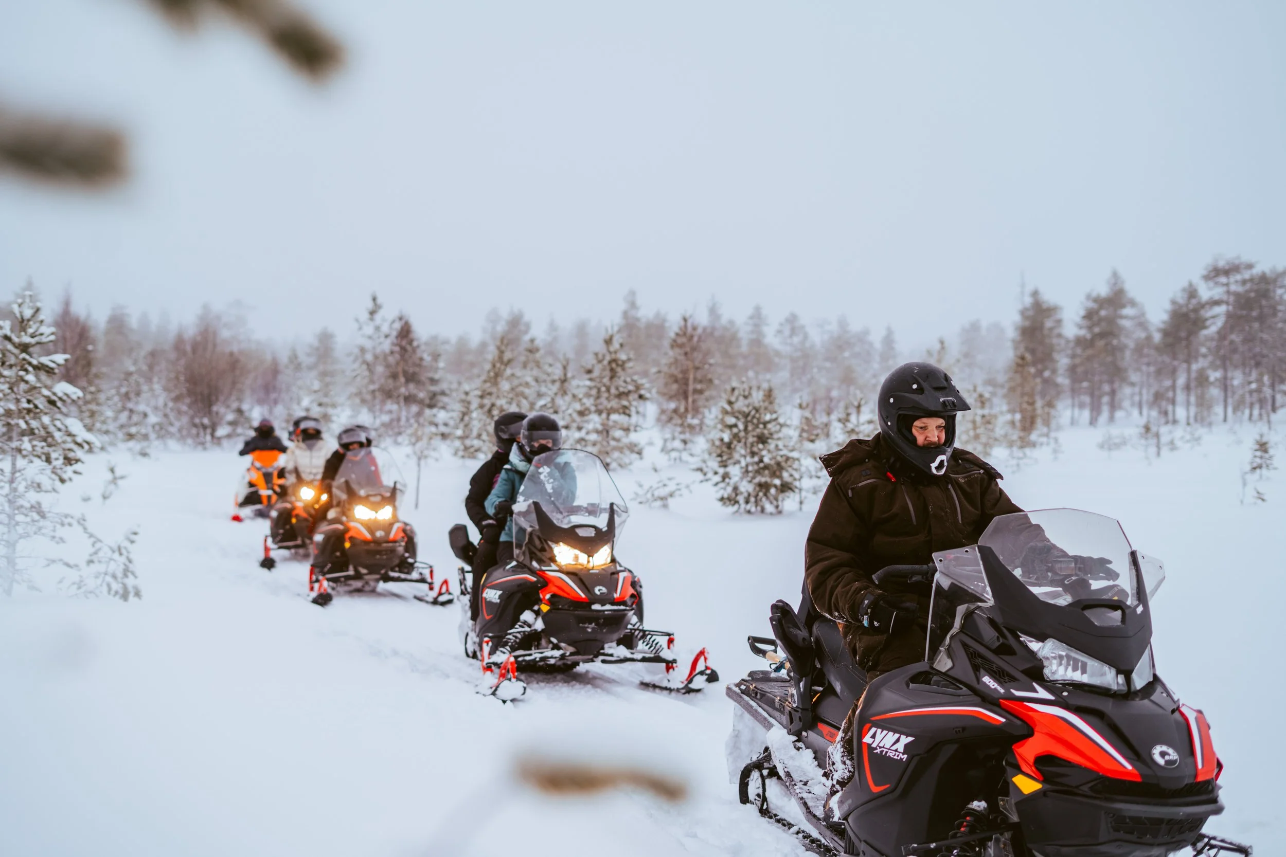 Stockholm vinter aktivitet