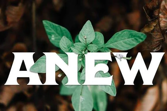 ANEW: Faith for Justice Forum for Change