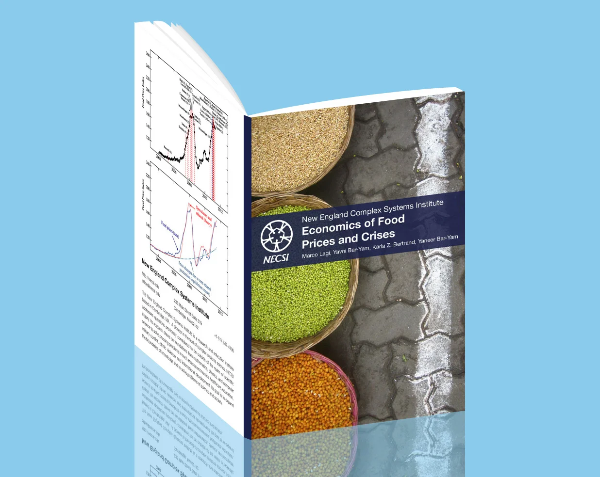 Economics of Food Prices and Crises (Bulk Orders)
