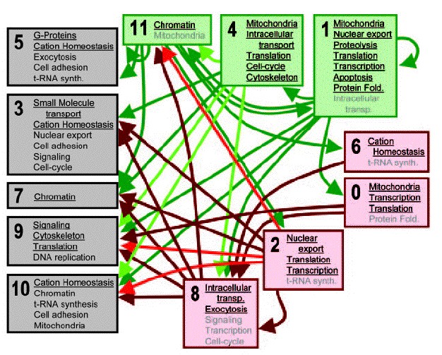 Visual: Figures — New England Complex Systems Institute