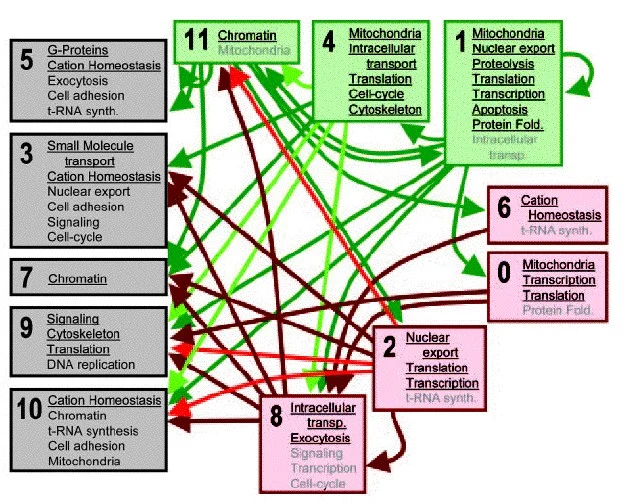 bivortpnas2004_fig04a.jpg