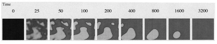 sayamaforma2003_fig02.jpg