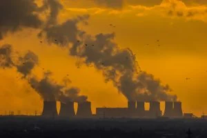 woodcoal.jpg