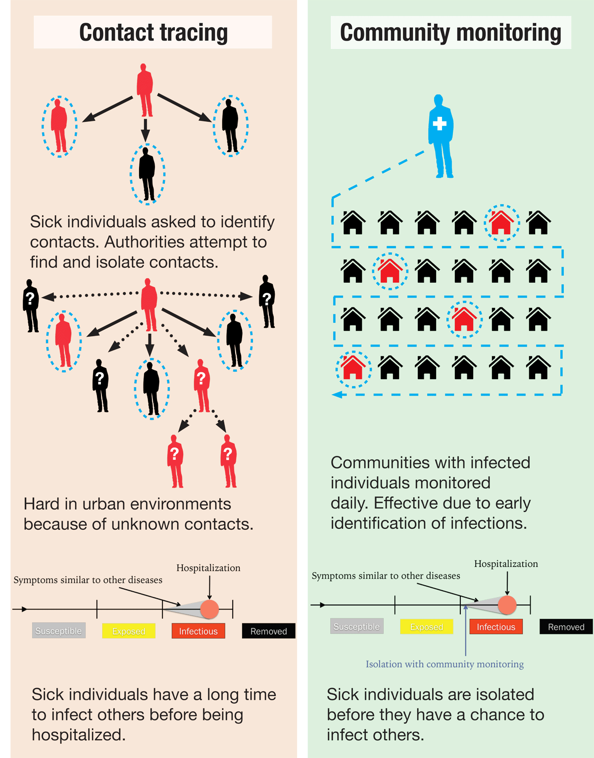 infographic2.png
