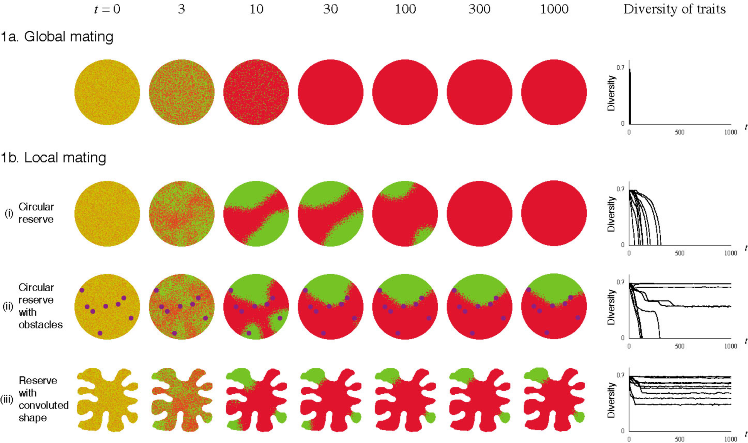 PastedGraphic-4.png