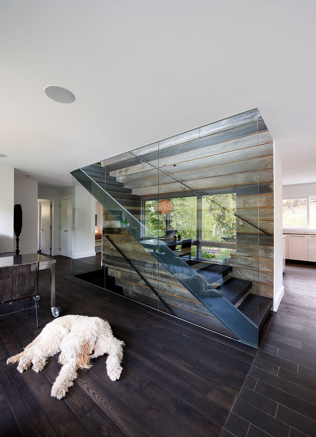 Modern staircase between glass and wood paneled walls