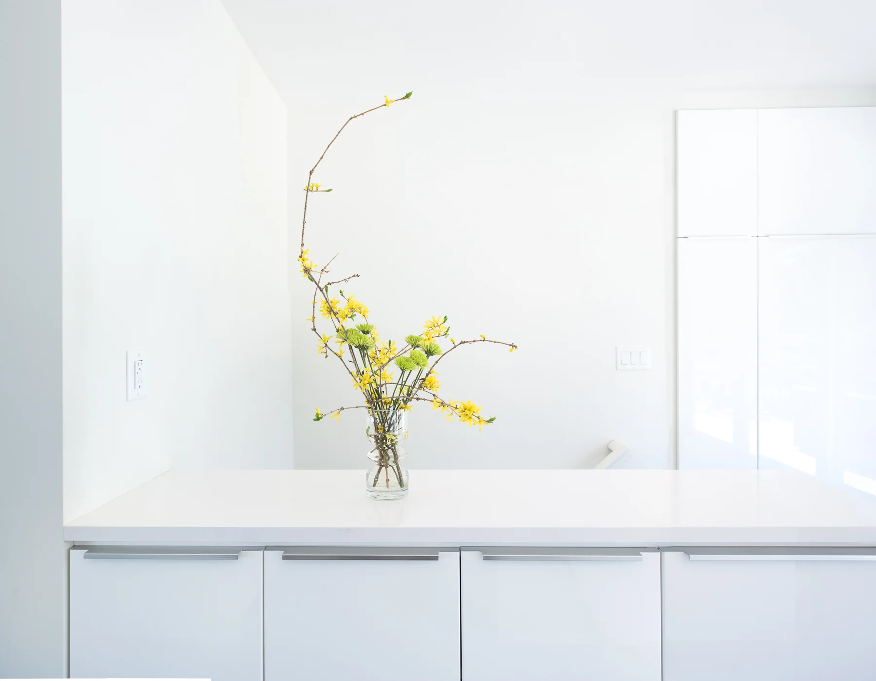 Modern custom white kitchen cabinetry