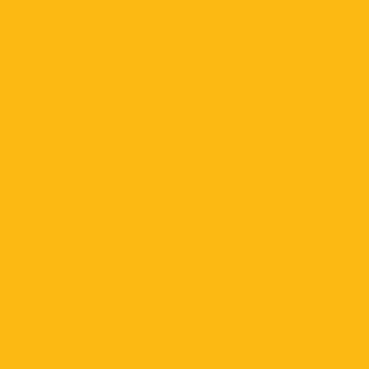 satori-yellow-banner.gif