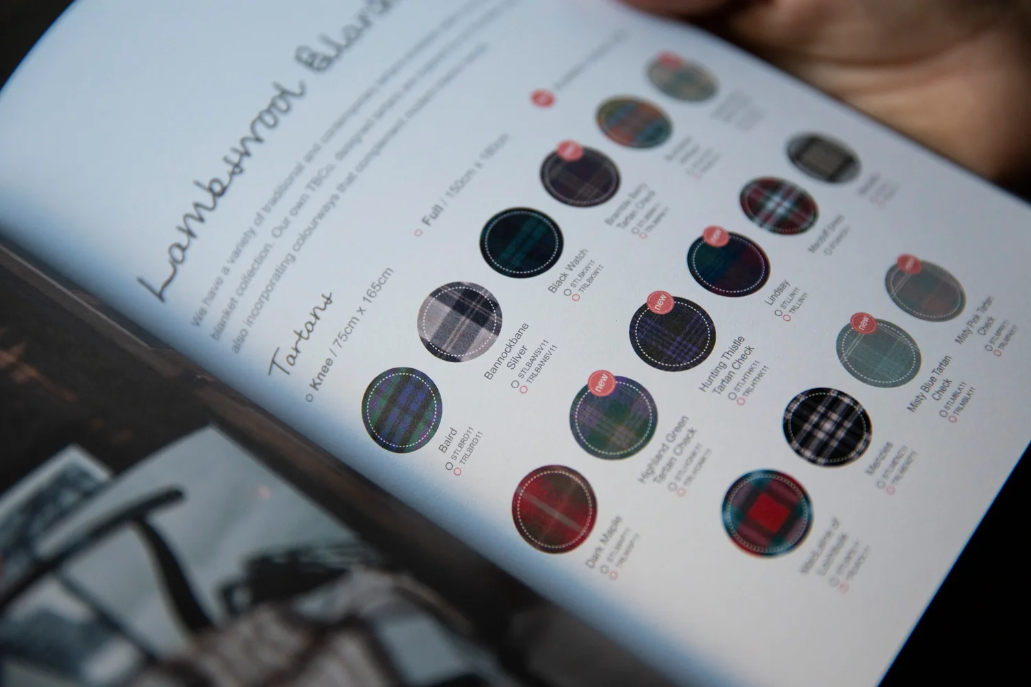 TBCoCatalog17.jpg