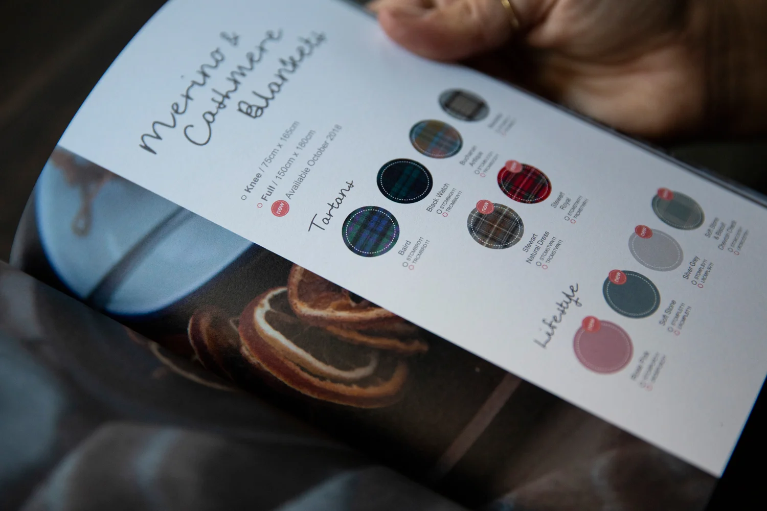  Graphic elements indicate the new designs and reference the date when they will be available, creating anticipation for wholesale customers. 
