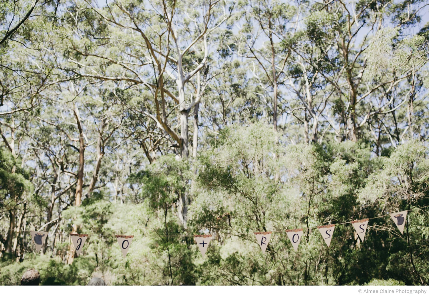 A bunting was designed and hung between the gum trees at the ceremony.
