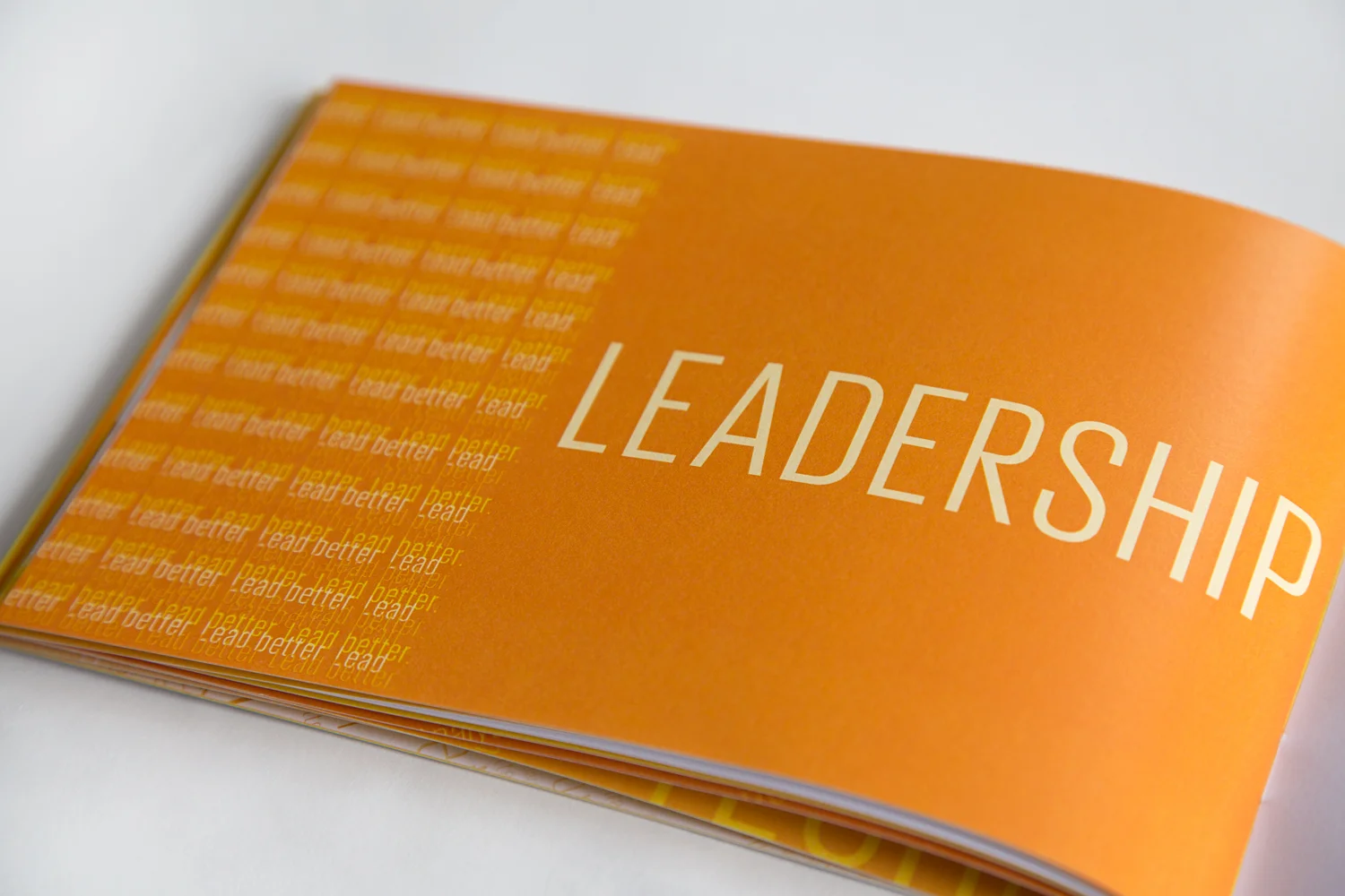 booklet14.jpg