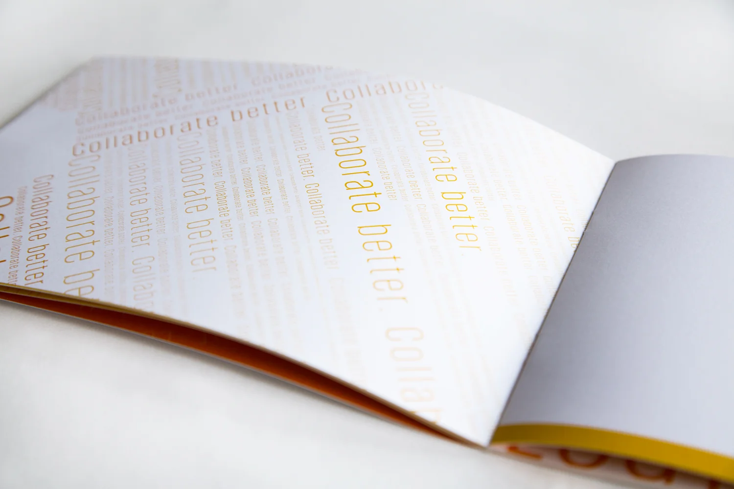 booklet8.jpg