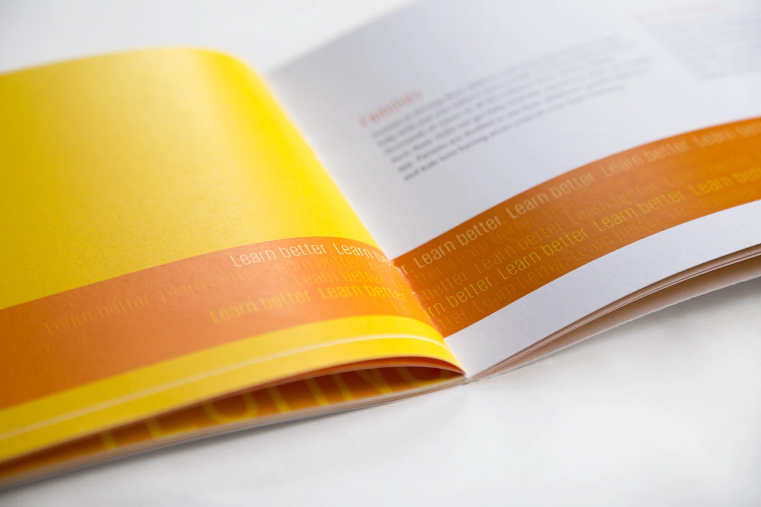 booklet10.jpg