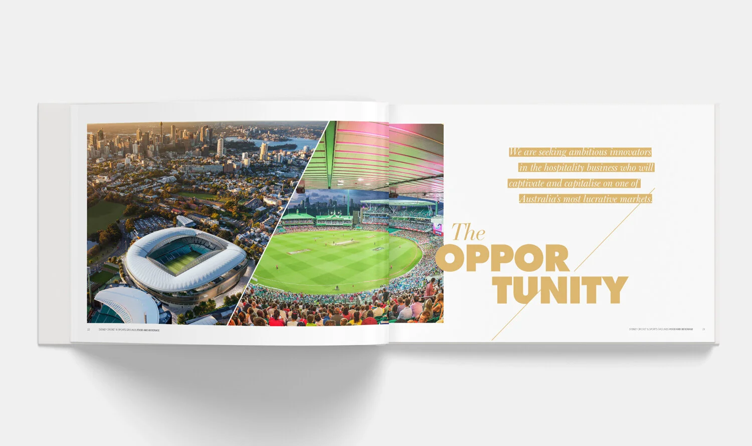 CCaffery_Horizontal_Book_Mockup5.jpg