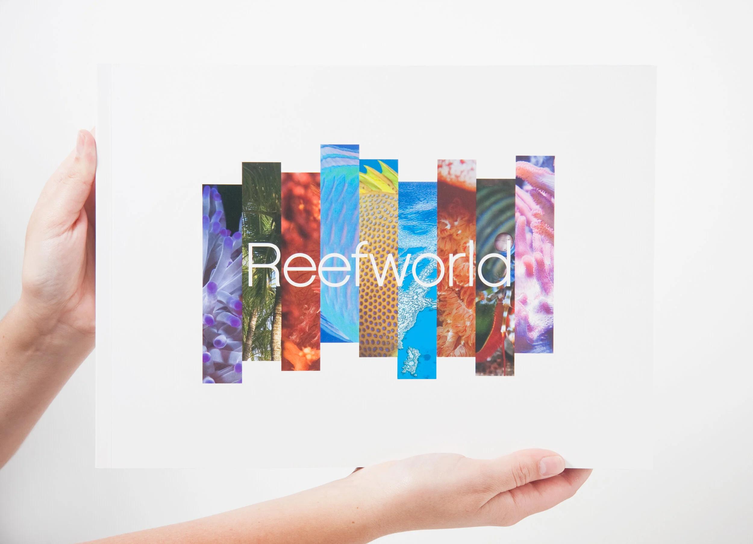 Reefworld