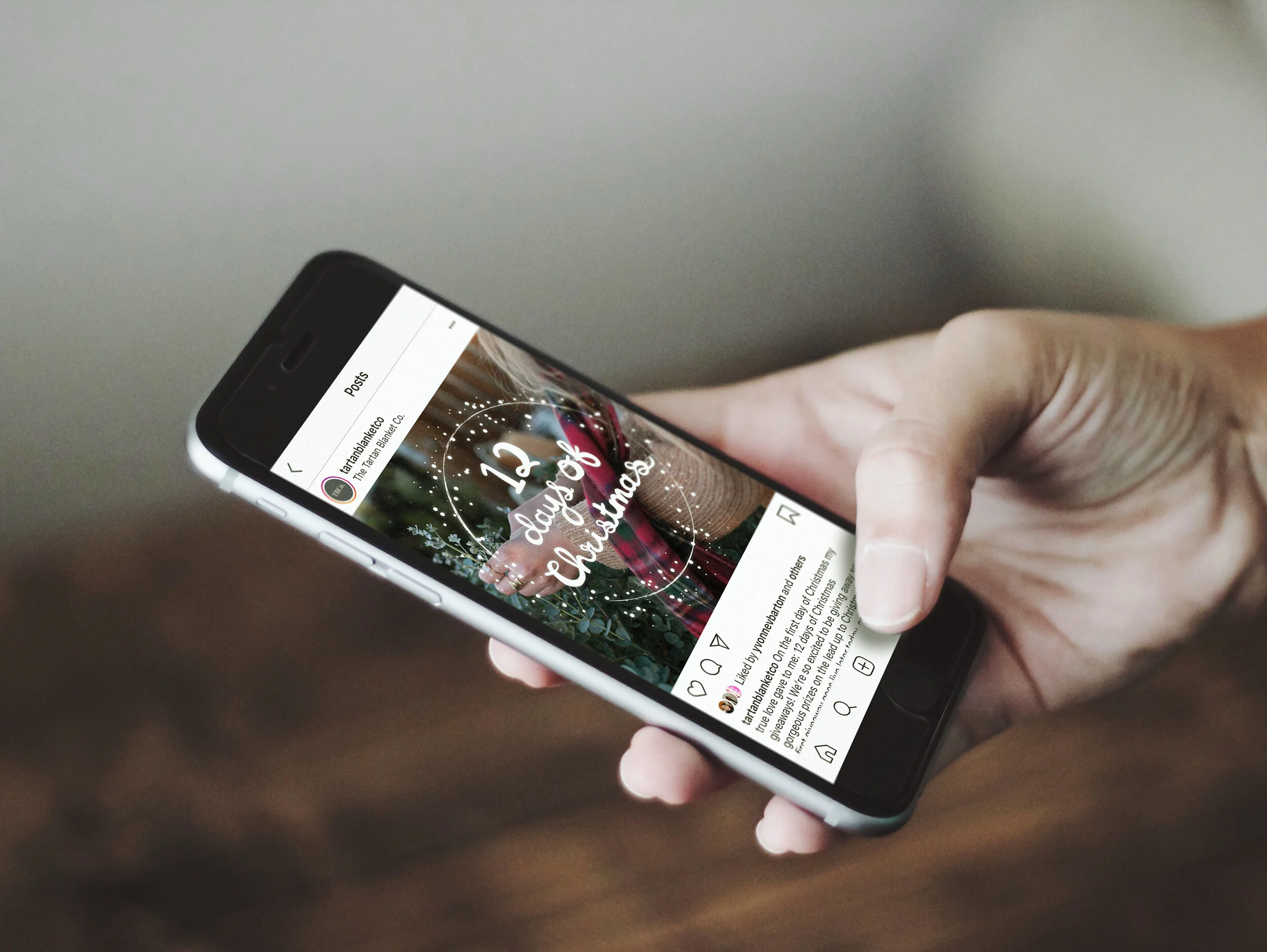 12 Days of Christmas Social Media Campaign