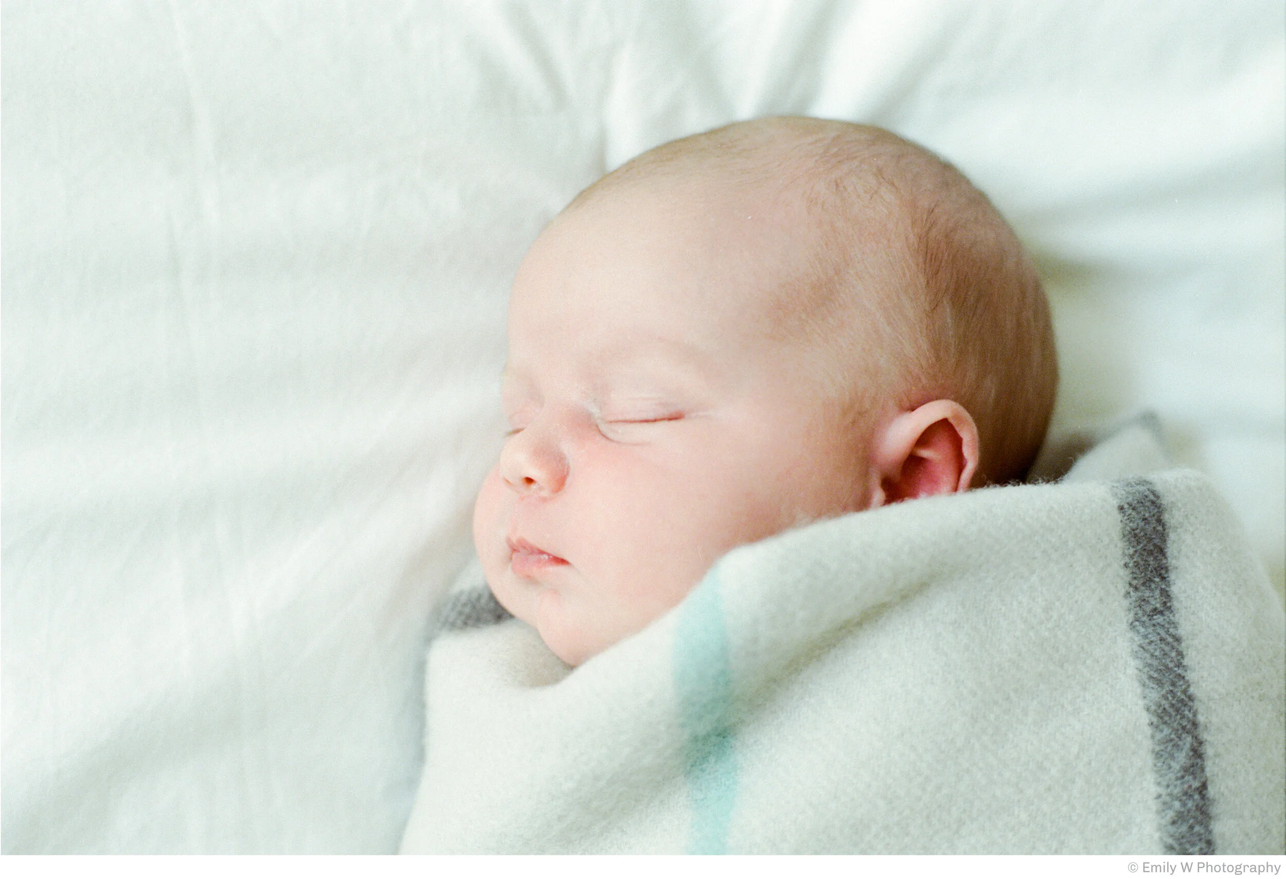EmilyW-1.jpg