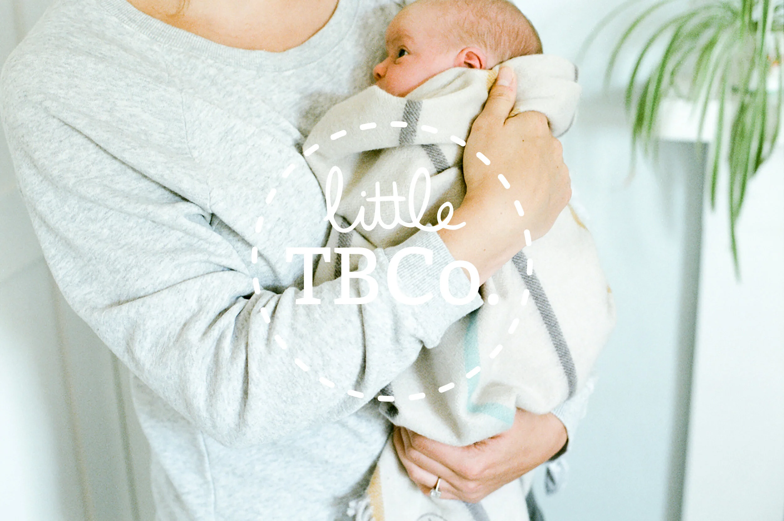 The Little Tartan Blanket Co. Identity, Branding and Textile Design