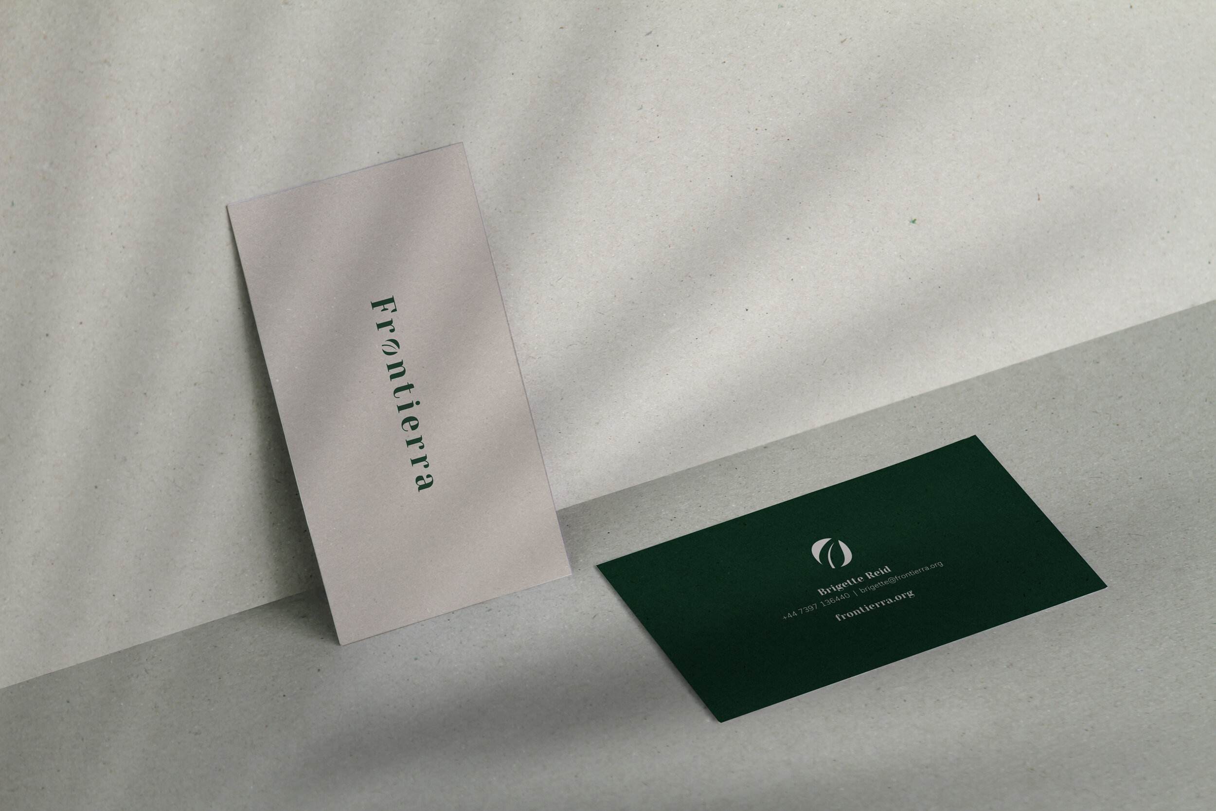  Frontierra offers their service throughout the world and required their branding and website to be created across English, Argentinian and Spanish. 