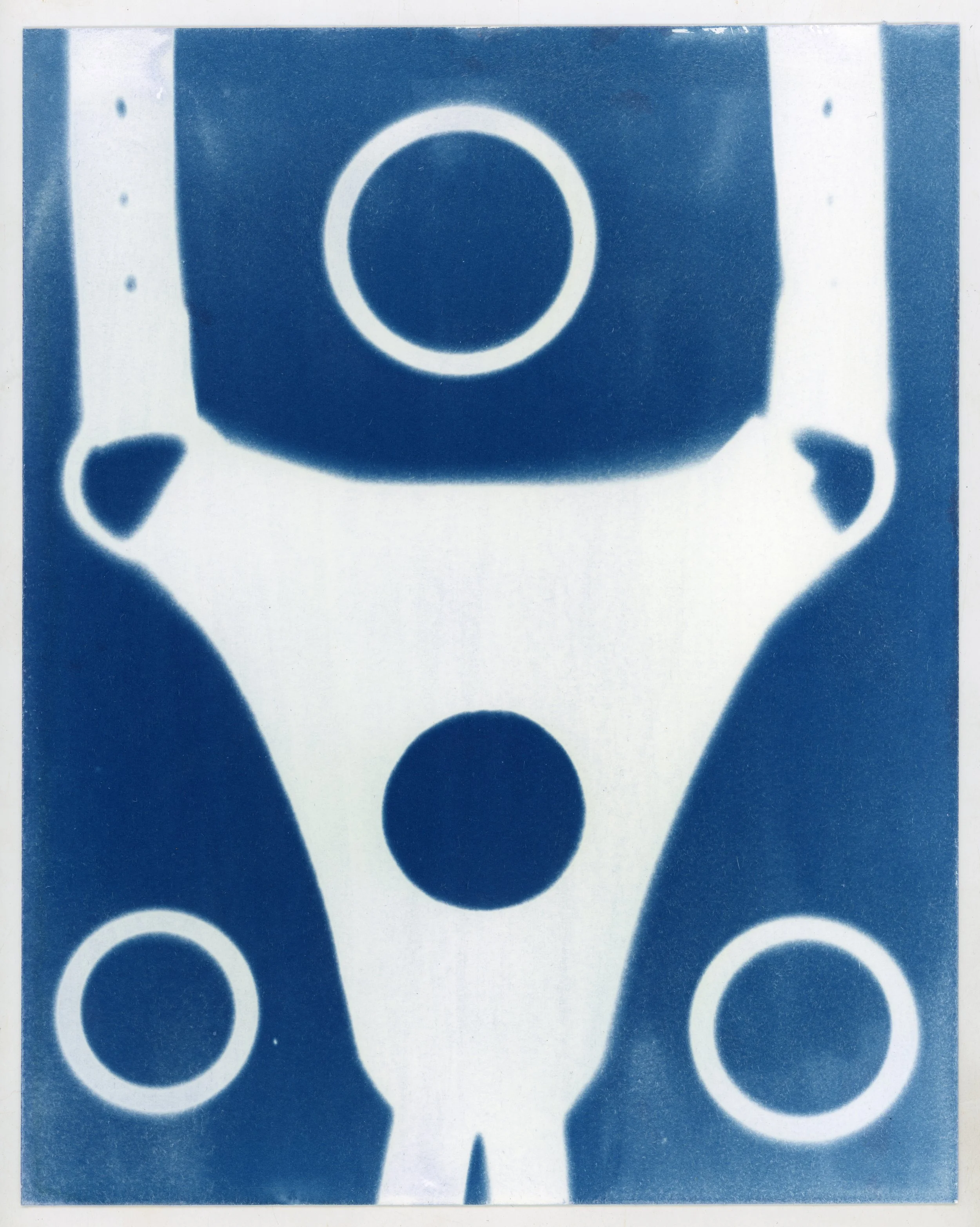 cyano26_64.jpg