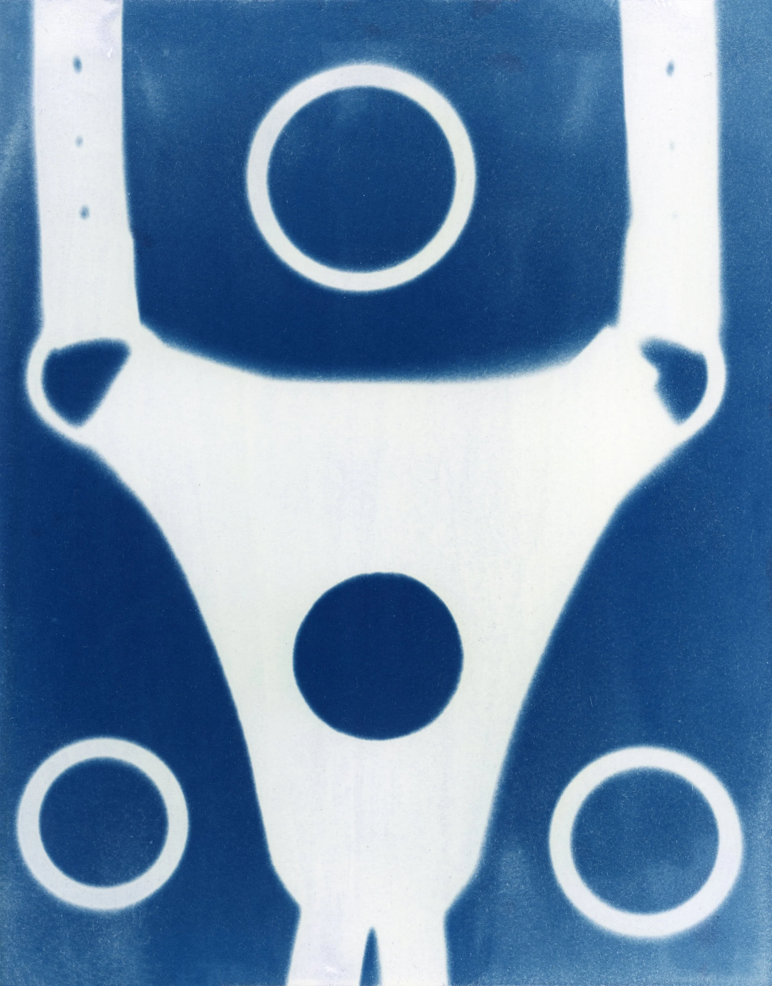 cyano26_64 copy.jpg