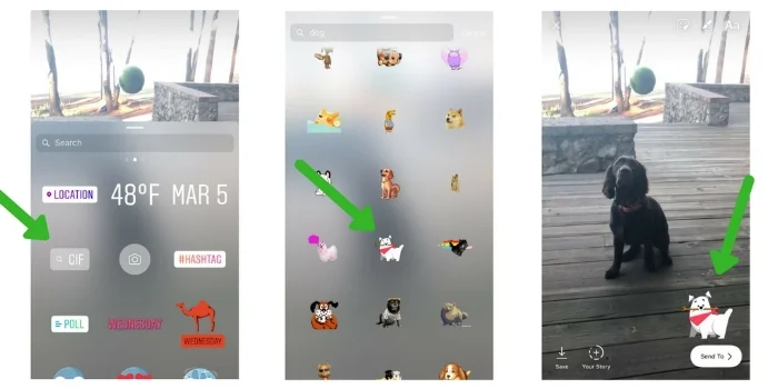1.+Click+the+GIF+feature.jpg